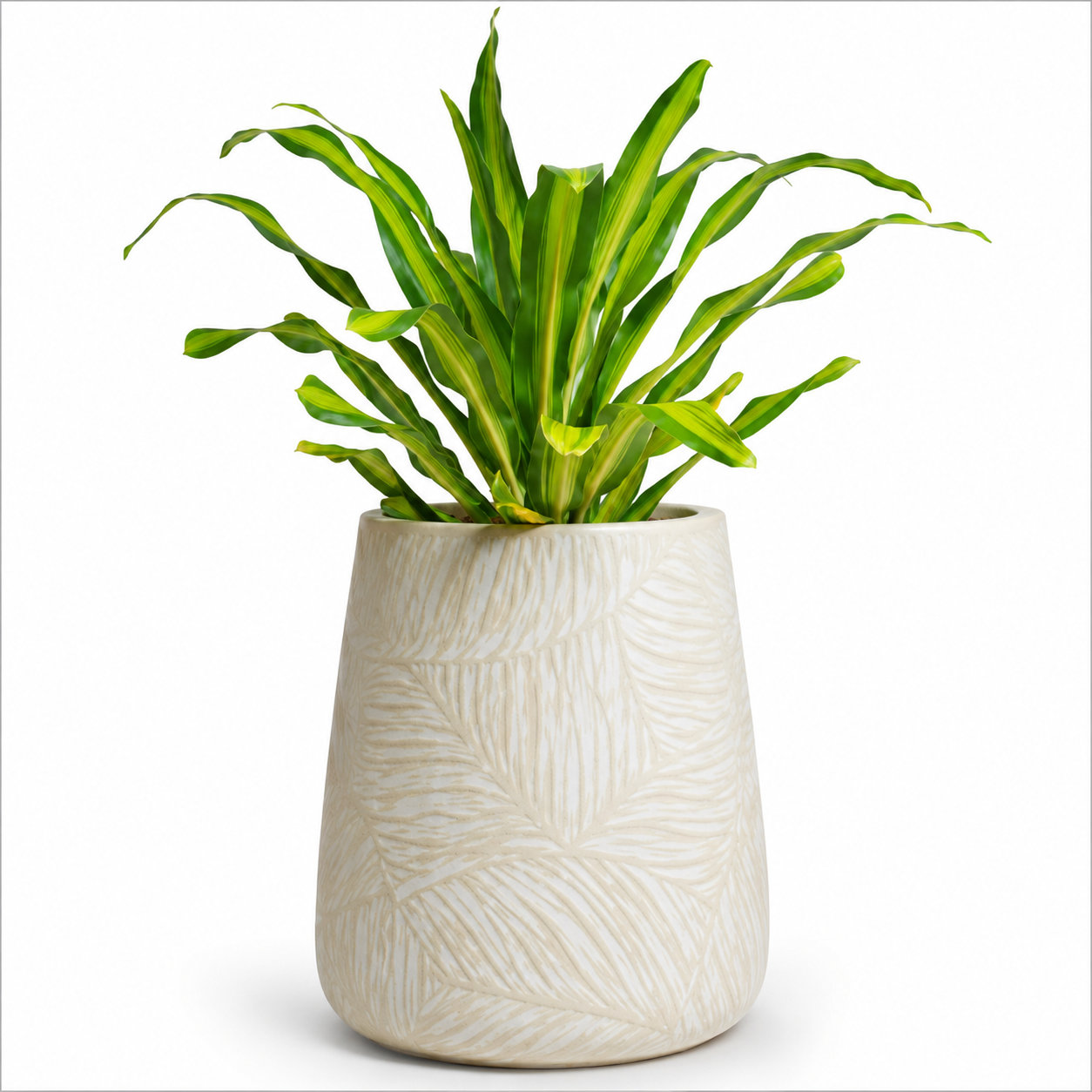 Woodara Textured Ceramic Planter