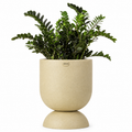 Woodara Textured Ceramic Planter