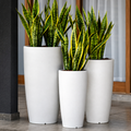 Woodara Tall Cylinder Planter Set (Set of 3)