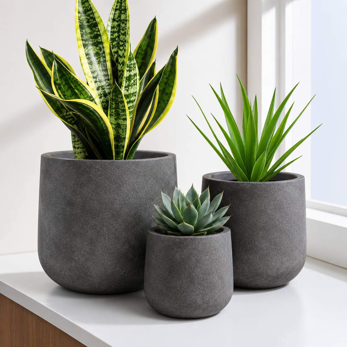 Woodara Graphite Planter Trio