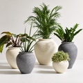 Woodara Luxury Indoor Planters