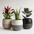 Woodara Modern Ceramic Pots (Set of 3)