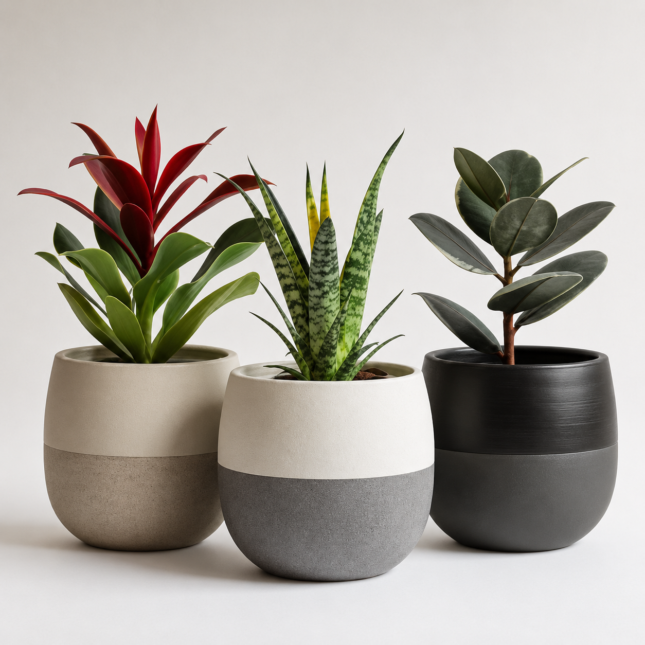 Woodara Modern Ceramic Pots (Set of 3)
