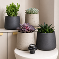 Woodara Succulent Pot Set