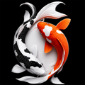 Woodara Prosperity Koi Wall Art
